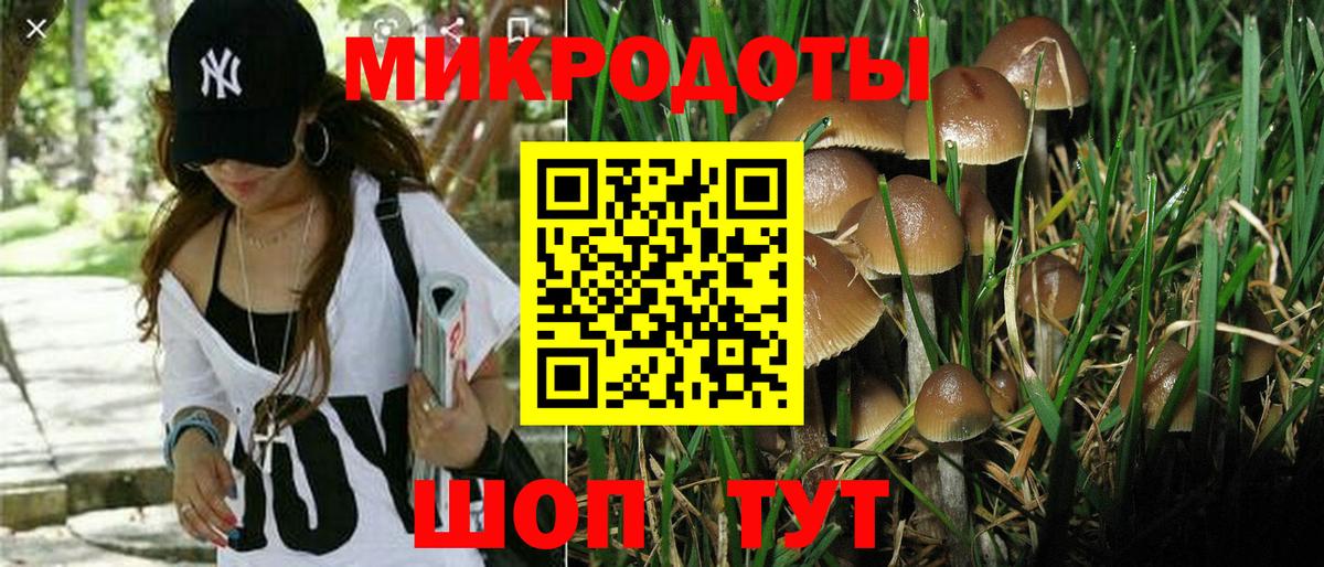 Псилоцибиновые грибы ЛСД Новоалтайск