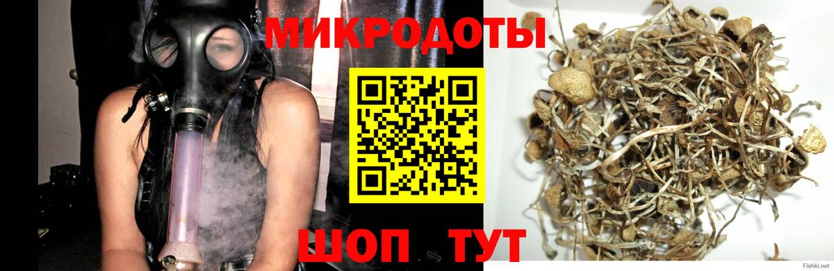 Псилоцибиновые грибы Psilocybine cubensis  Псилоцибиновые грибы MAGIC MUSHROOMS  что такое   Вход с VPN  Новоалтайск 